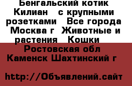 Бенгальский котик Килиан , с крупными розетками - Все города, Москва г. Животные и растения » Кошки   . Ростовская обл.,Каменск-Шахтинский г.